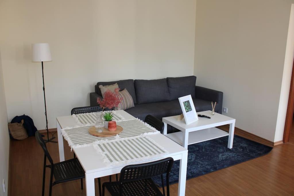 The Oasis By Downtown Apartments Târgu-Mureş المظهر الخارجي الصورة