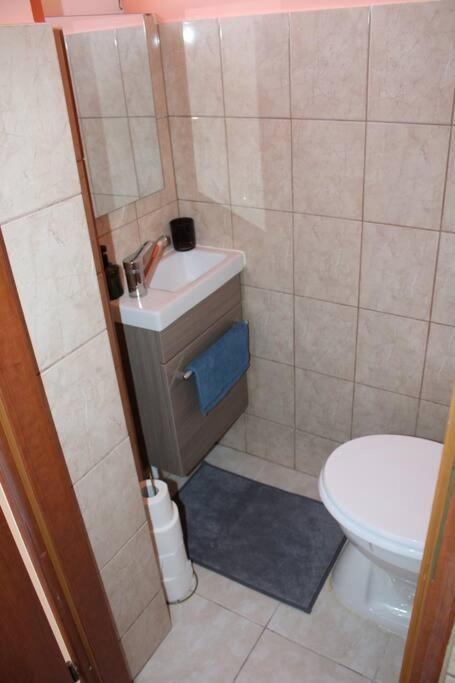 The Oasis By Downtown Apartments Târgu-Mureş المظهر الخارجي الصورة