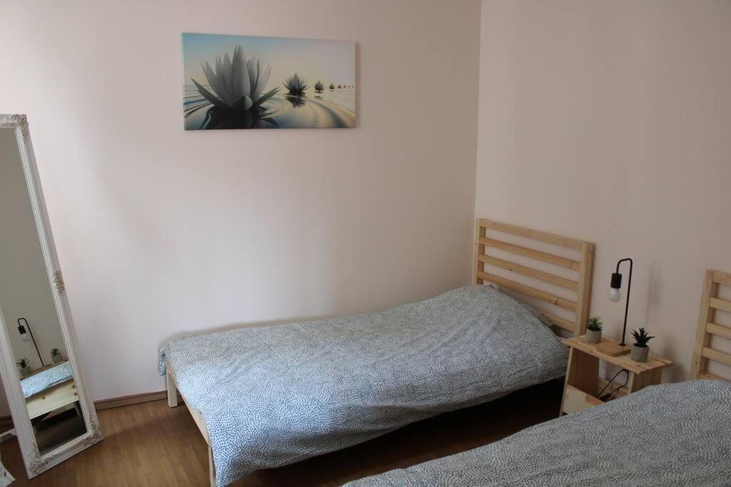 The Oasis By Downtown Apartments Târgu-Mureş المظهر الخارجي الصورة